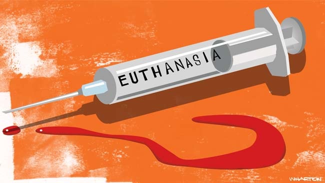 Euthanasia Is The Practice Of Ending A